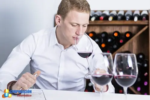 Curso de Cata de vinos - Maridaje - Sumiller