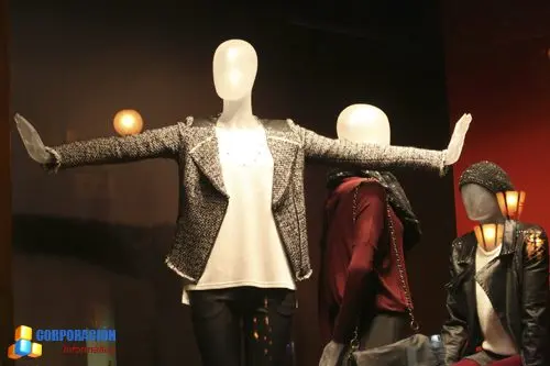 Escaparatismo en general