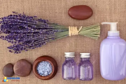 Aromaterapia y aceites esenciales curso online (promoción)