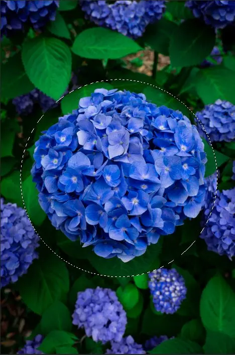 img-bola-de-cristal-12