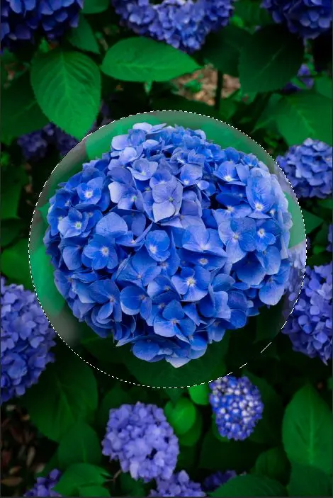 img-bola-de-cristal-13