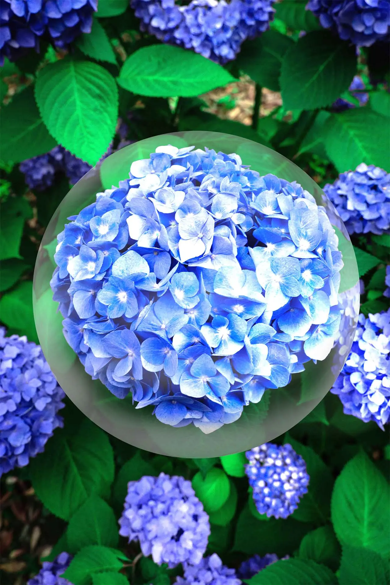 img-bola-de-cristal-entrada-blog-1 como crear una bola de cristal en photoshop