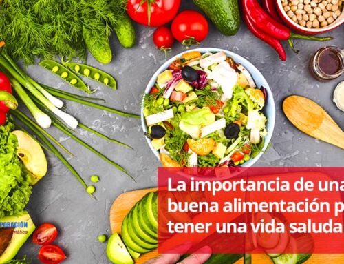 La importancia de una buena alimentación para tener una vida saludable